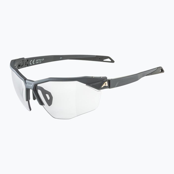 Alpina Twist Six Hr V midnight grey matt/black sunglasses 5