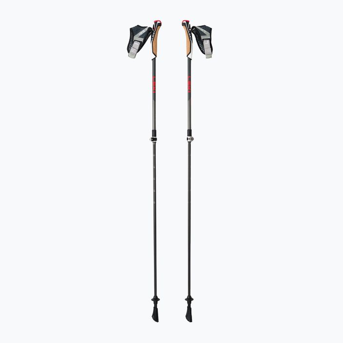 LEKI Instructor Lite nordic walking poles black and silver 65326341