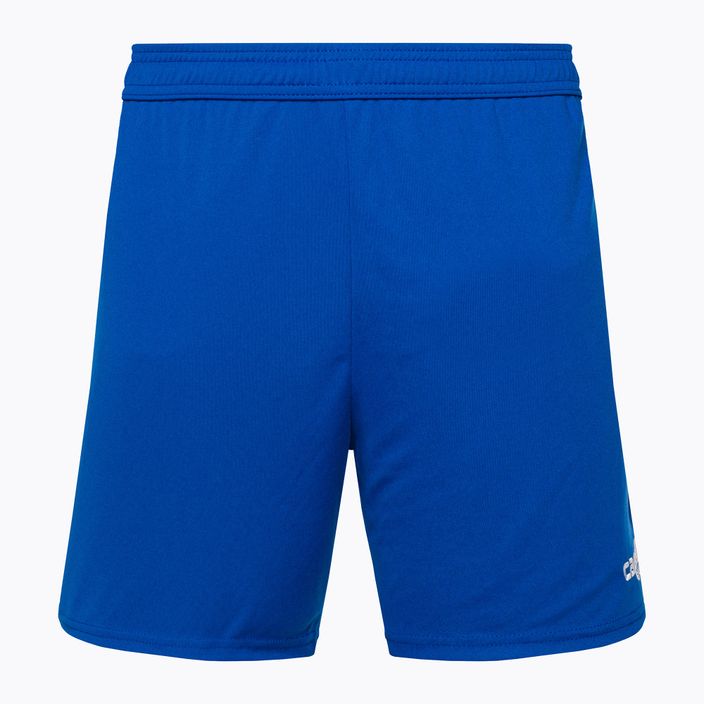 Capelli Sport Cs One Adult Match football shorts royal blue/white