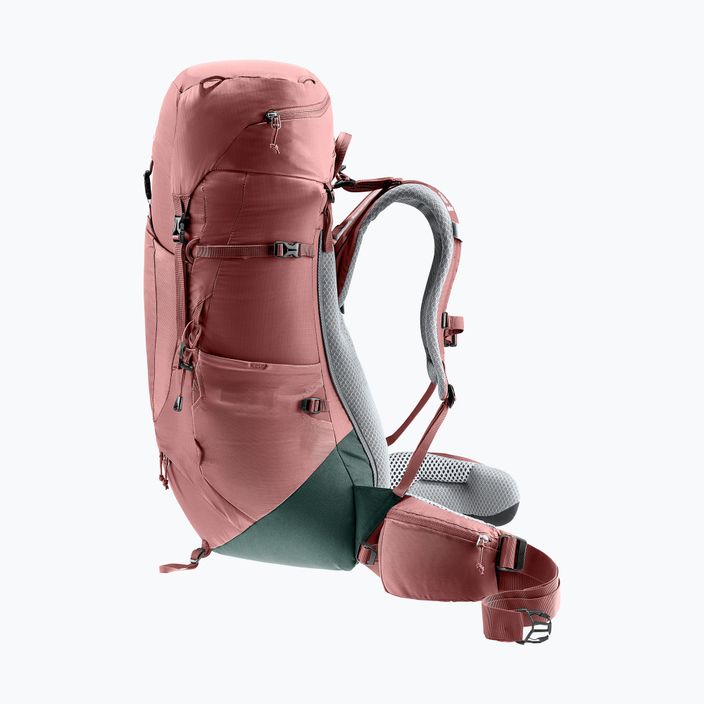 Women's trekking backpack deuter Aircontact Lite 35 + 10 SL brown 334002352150 3