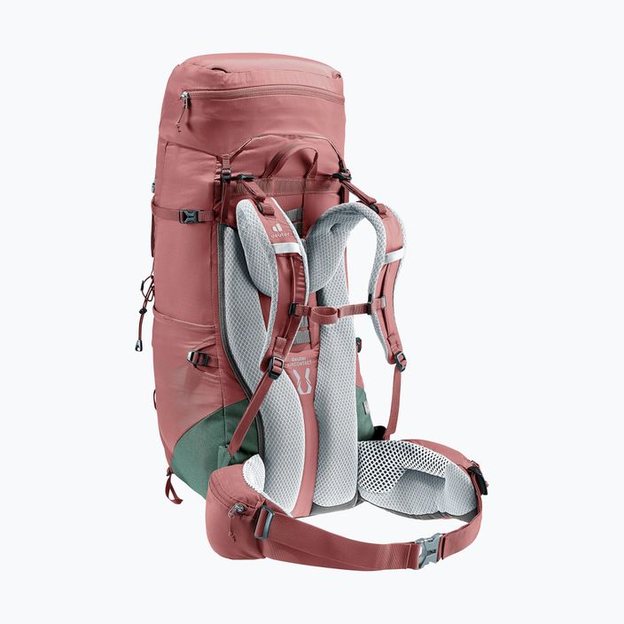 Women's trekking backpack deuter Aircontact Lite 45 + 10 SL 55 l 334022352150 caspia/ivy 3