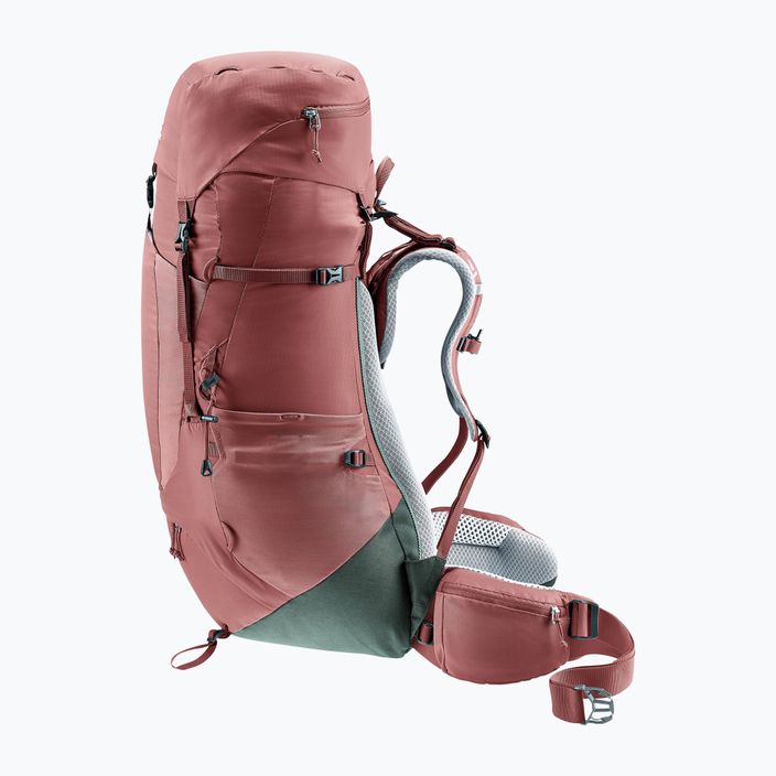 Women's trekking backpack deuter Aircontact Lite 45 + 10 SL 55 l 334022352150 caspia/ivy 5