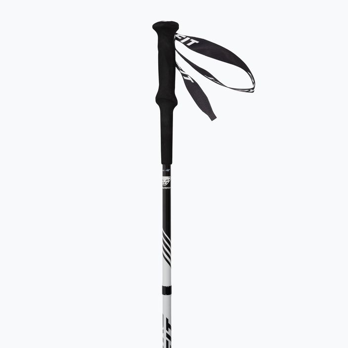 DYNAFIT Alpine Pro nimbus running poles 3