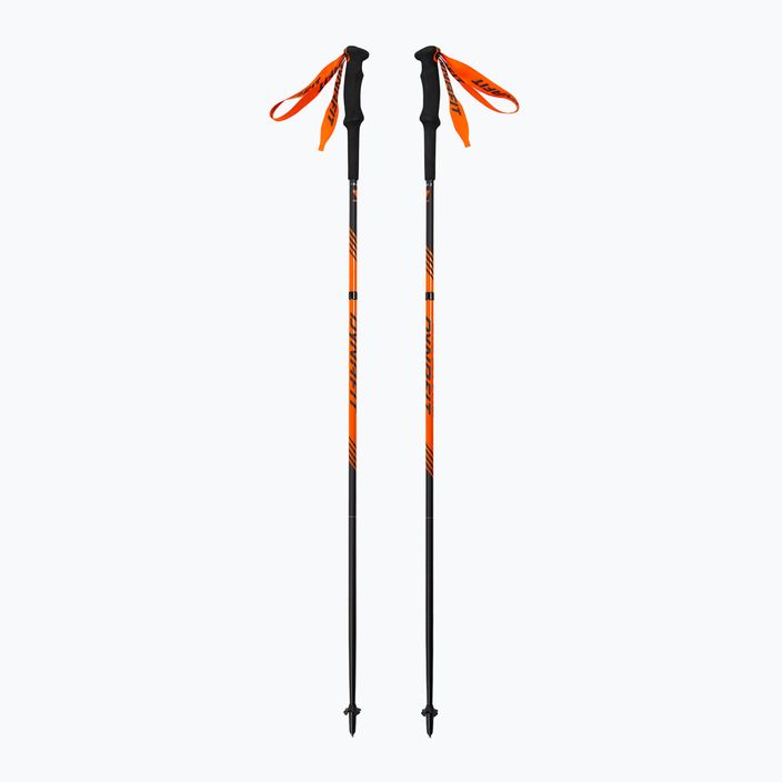 DYNAFIT Alpine dawn cross-country ski poles