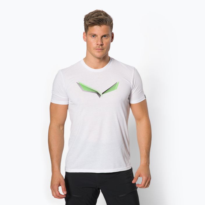 Men's Salewa Lines Graphic Dry trekking shirt white 00-0000028065