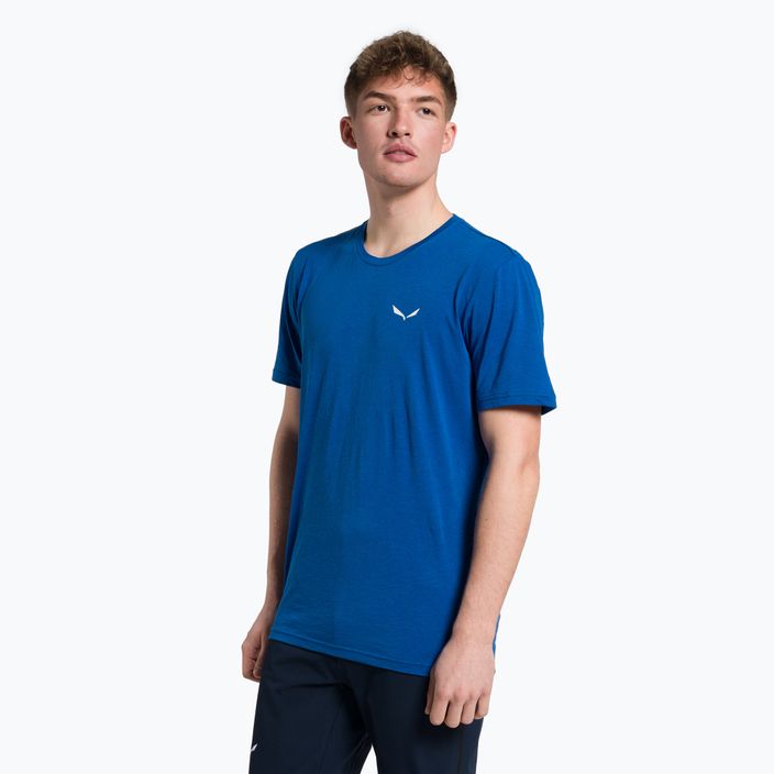Men's trekking t-shirt Salewa Alpine Hemp Logo blue 00-0000028132