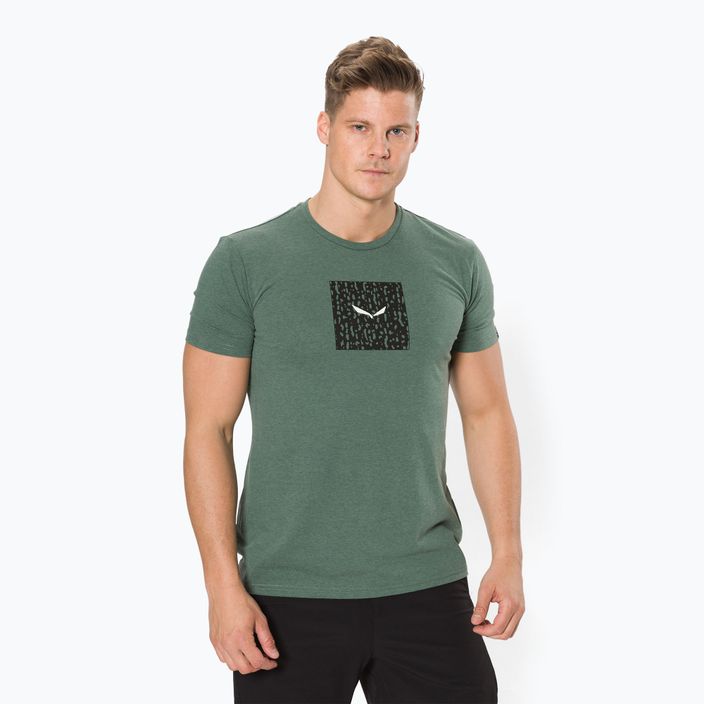 Salewa Pure Box Dry men's trekking shirt green 00-0000028378
