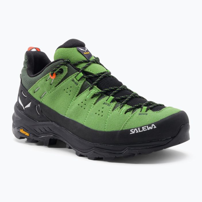 Men's trekking boots Salewa Alp Trainer 2 GTX green 00-0000061400