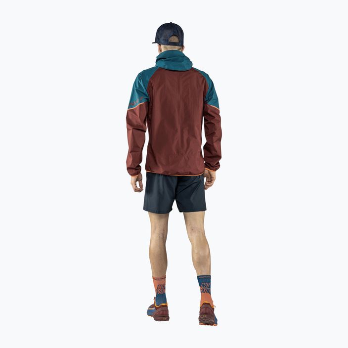 Men's DYNAFIT Alpine GTX running jacket burgundy-blue 08-0000071468 2