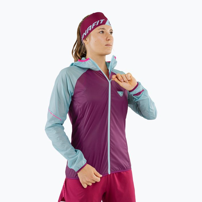 Women's DYNAFIT Alpine Wind 2 running jacket purple-blue 08-0000071155 3