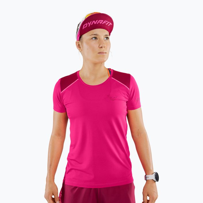 Women's DYNAFIT Sky running t-shirt pink 08-0000071650