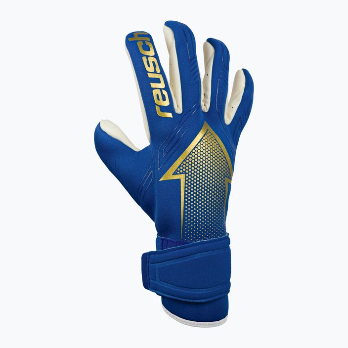 Reusch Arrow Gold X blue goalkeeper's gloves 5270908-4026 6
