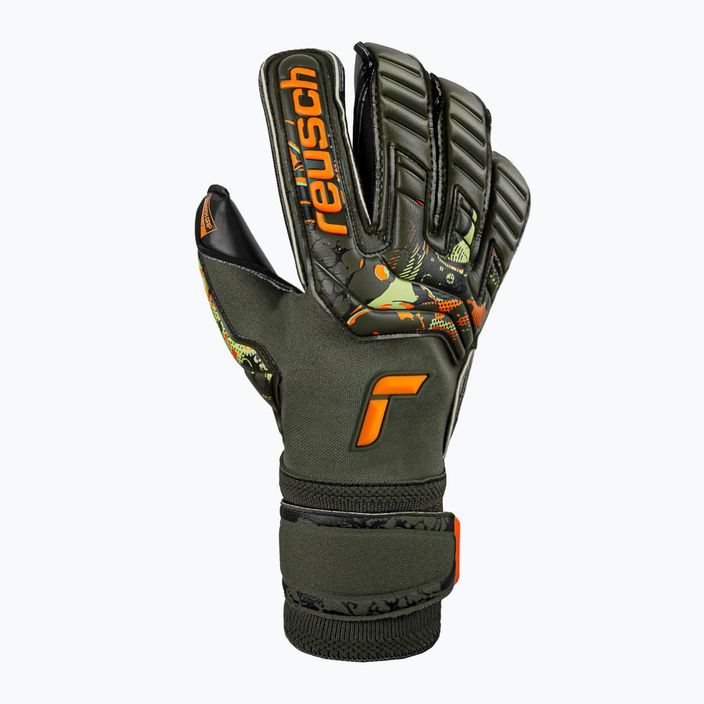 Reusch Attrakt Gold X Evolution Cut goalkeeper gloves green 5370064-5555 7