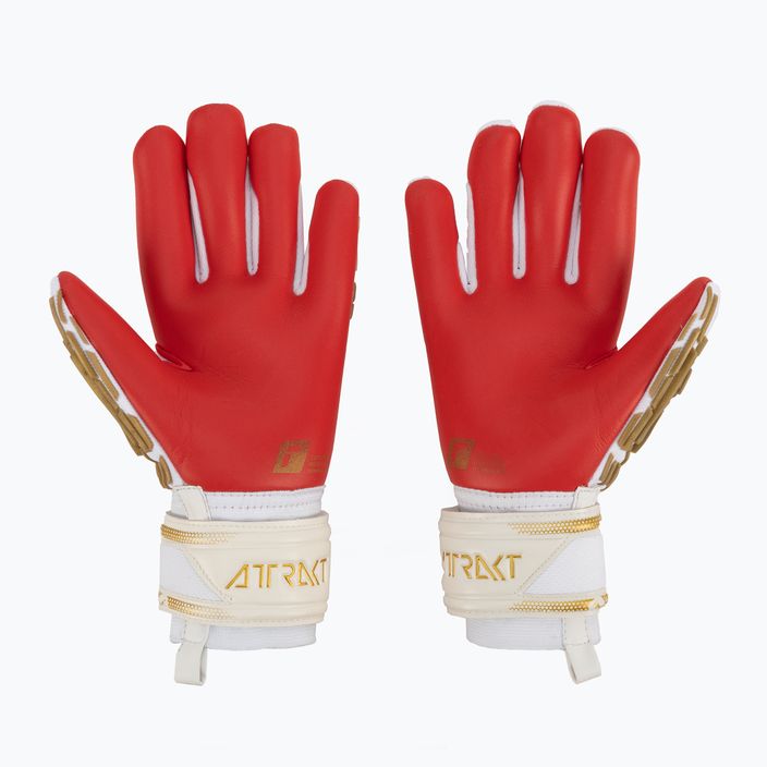 Reusch Attrakt Freegel Silver goalkeeper gloves white 5370235-1011 2