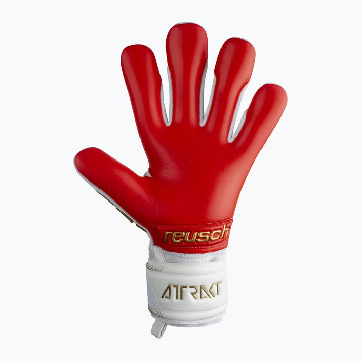 Reusch Attrakt Freegel Silver goalkeeper gloves white 5370235-1011 6