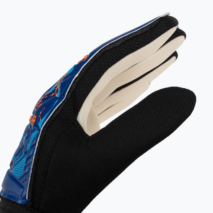Reusch Attrakt Starter Solid goalkeeper's gloves blue 5370514-4016 3