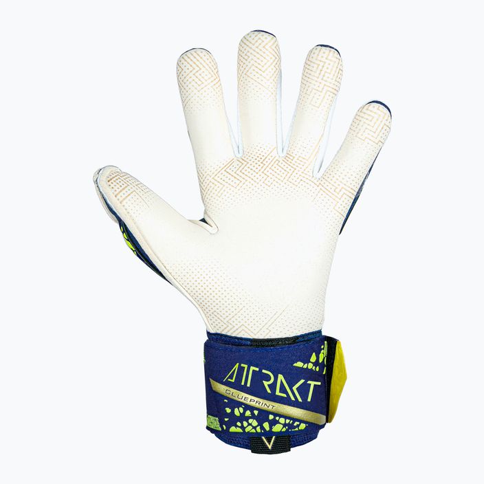 Reusch Attrakt Gold X GluePrint premium blue/gold goalkeeper's gloves 3