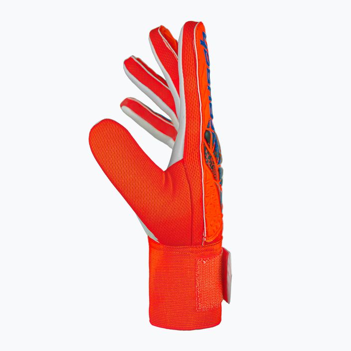 Reusch Attrakt Starter Solid bright red/future blue goalkeeper's gloves 4