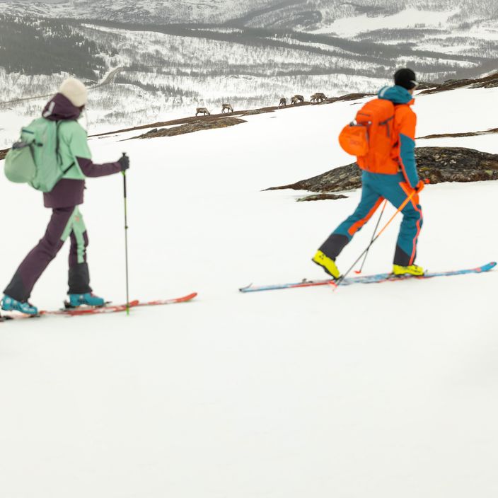 Jack Wolfskin men's Alpspitze 3L ski trousers orange 1115191 9