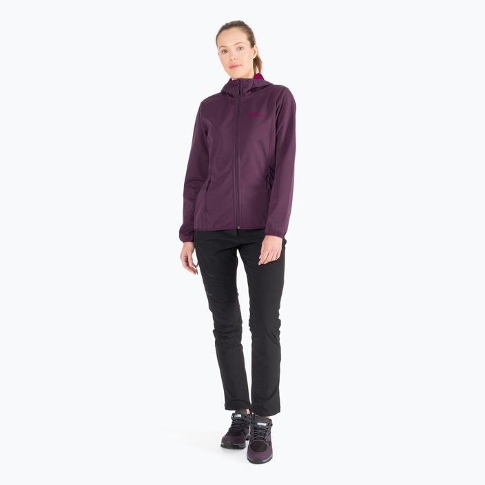 Jack Wolfskin women's softshell jacket Windhain Hoody purple 1307481 2