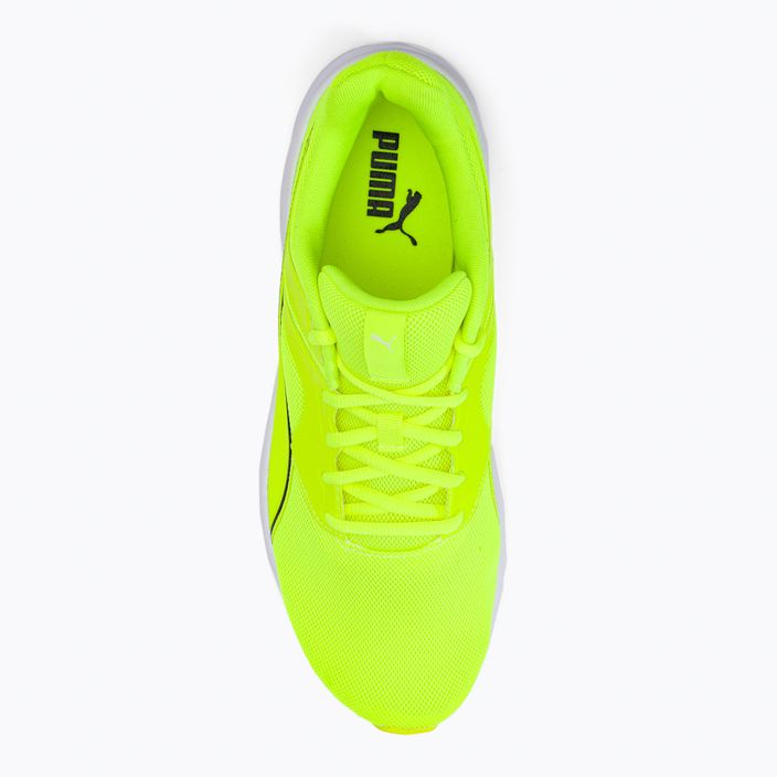 Men's running shoes PUMA Transport green 377028 10 6
