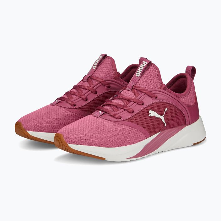 Women's running shoes PUMA Softride Ruby pink 377050 04 11
