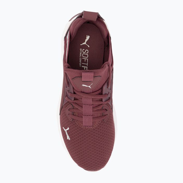 Women's running shoes PUMA Softride Enzo Nxt maroon 195235 17 6