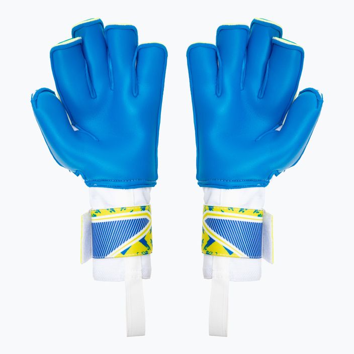 Goalkeeper's gloves RG Onar blue/yellow ONAR2107 2