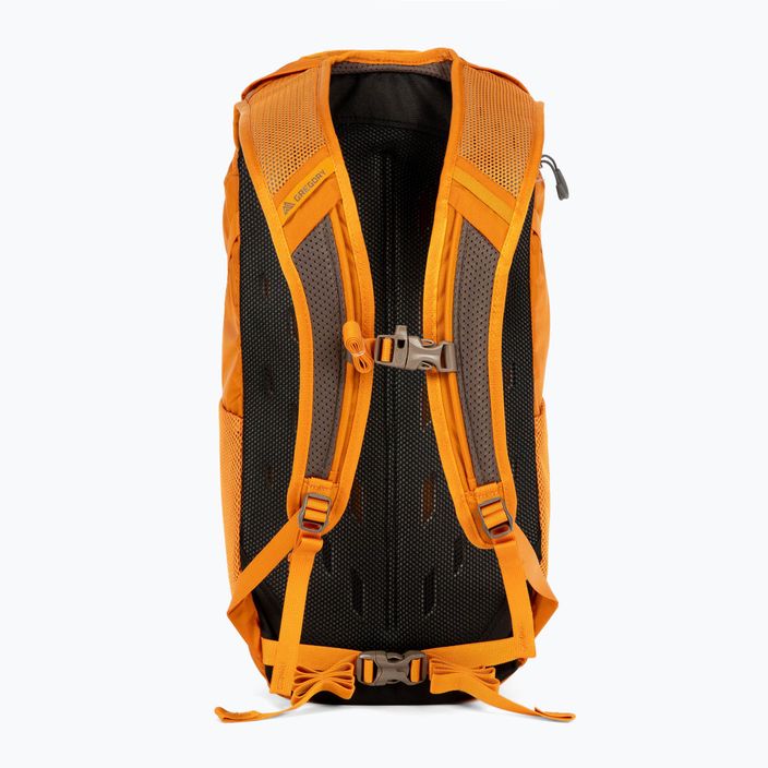 Gregory Nano 18 l city backpack orange 111498 3