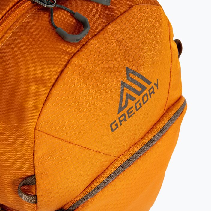 Gregory Nano 18 l city backpack orange 111498 4