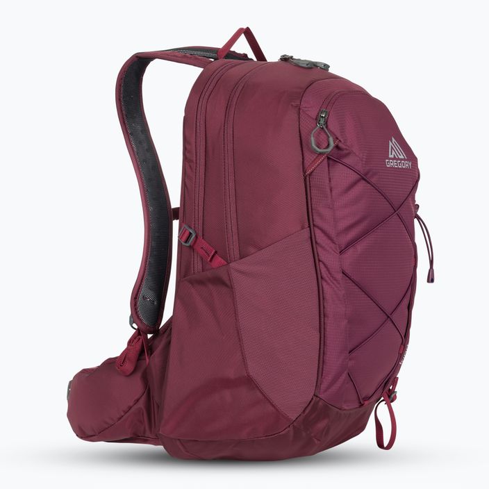 Gregory Kiro 22 l amethyst purple hiking backpack 2