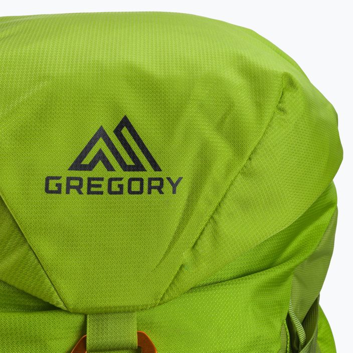 Gregory Alpinisto 35 l climbing backpack green 02J*04041 5