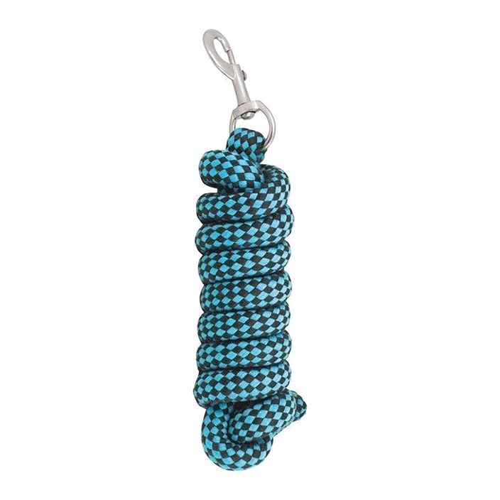 York Chess turquoise horse tether 250317 2