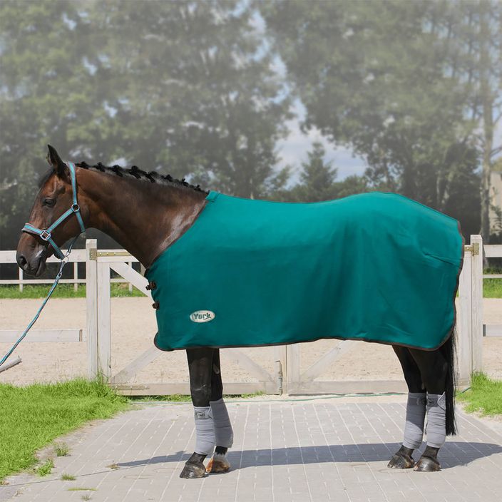 York Ekona turquoise fleece horse blanket 150941125 2