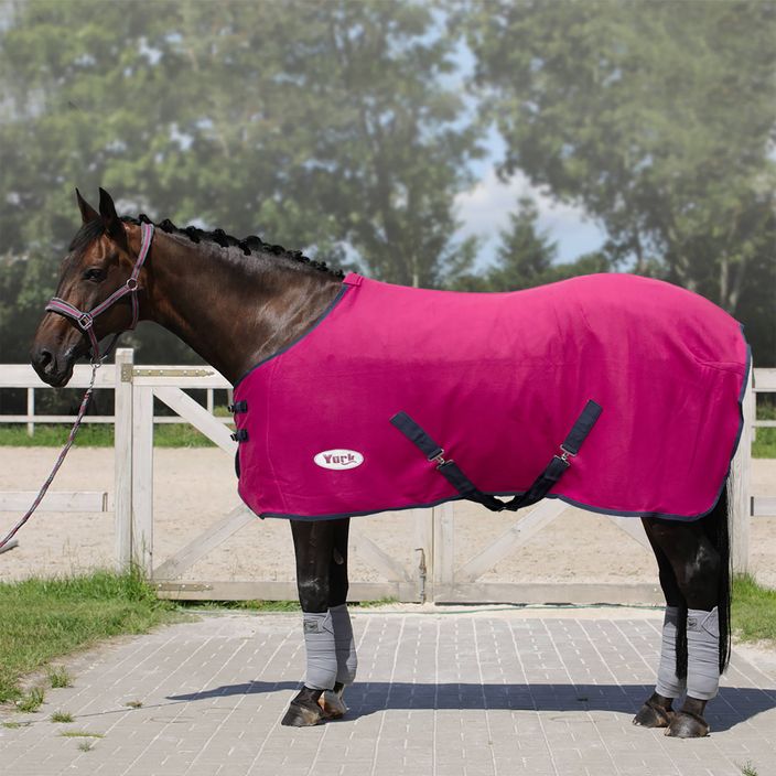 York Ekona maroon fleece horse blanket with straps 150942125