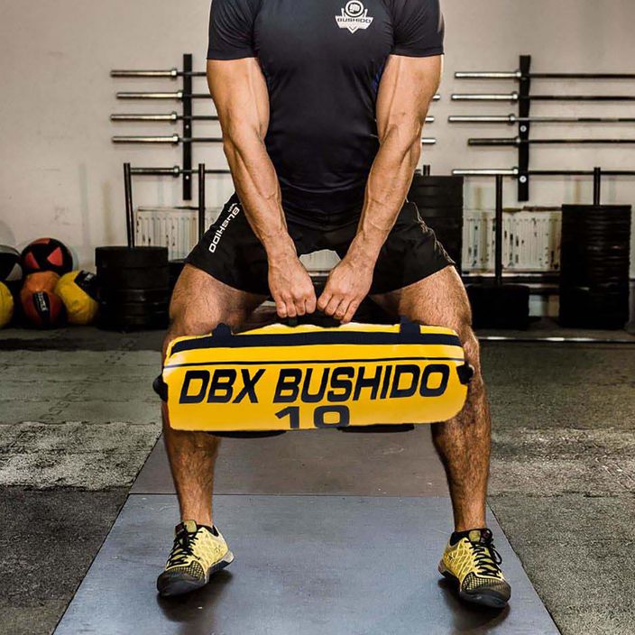 Power Bag DBX BUSHIDO 10 kg yellow Pb10 8