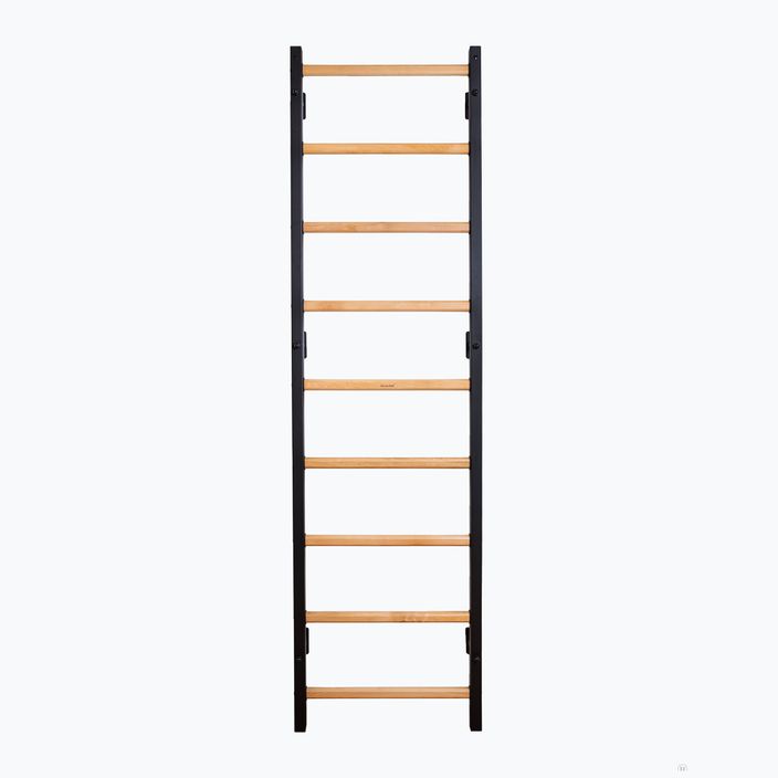 BenchK bronze gymnastics ladder BK-700B 2