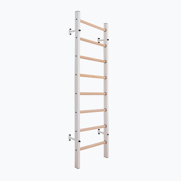 BenchK gymnastics ladder white BK-200W
