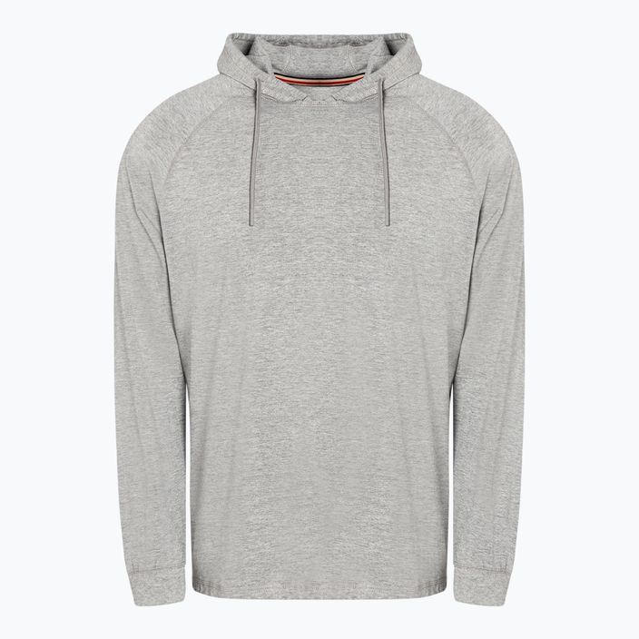 Men's sweatshirt Pitbull West Coast Hooded Small Logo Spandex 210 grey 6