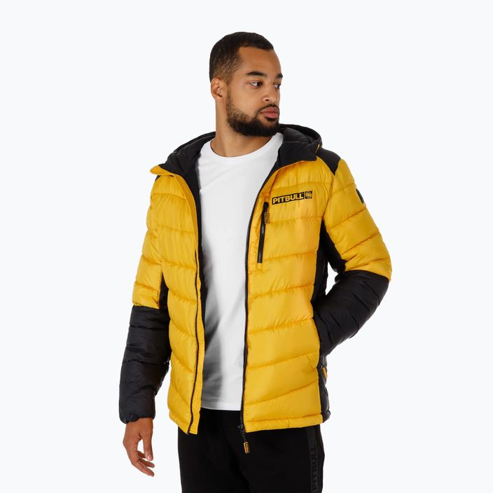 Pitbull West Coast men's winter jacket Evergold Hooded Padded yellow/black 4