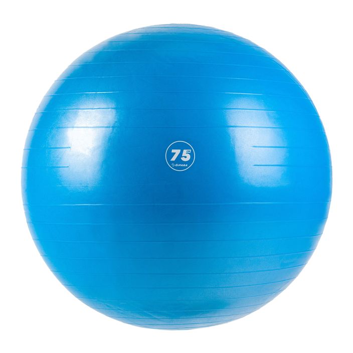 Gipara Fitness gymnastics ball blue 3007 75 cm 2