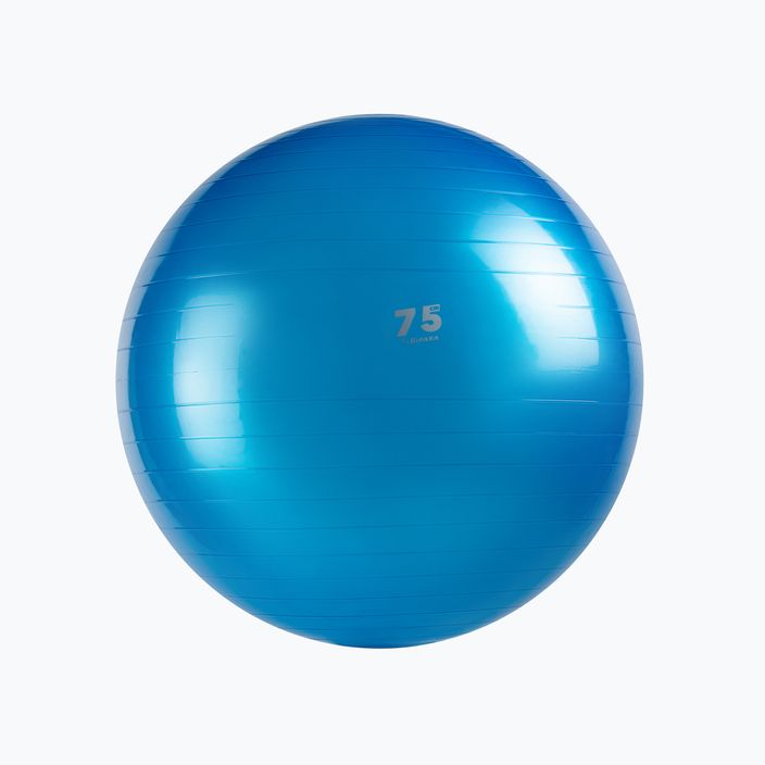 Gymnastic ball Gipara Fitness New blue 4900 75 cm