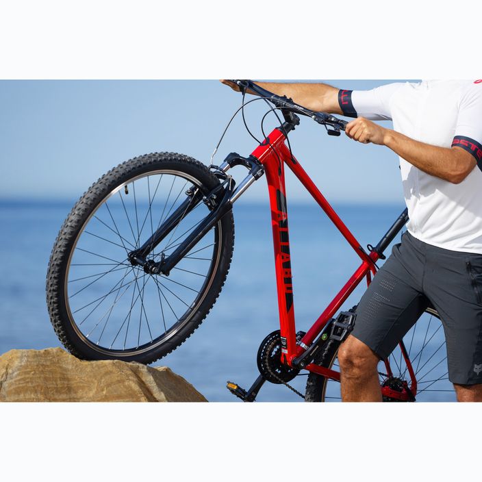 ATTABO men's mountain bike ALPE 1.0 19" red 11