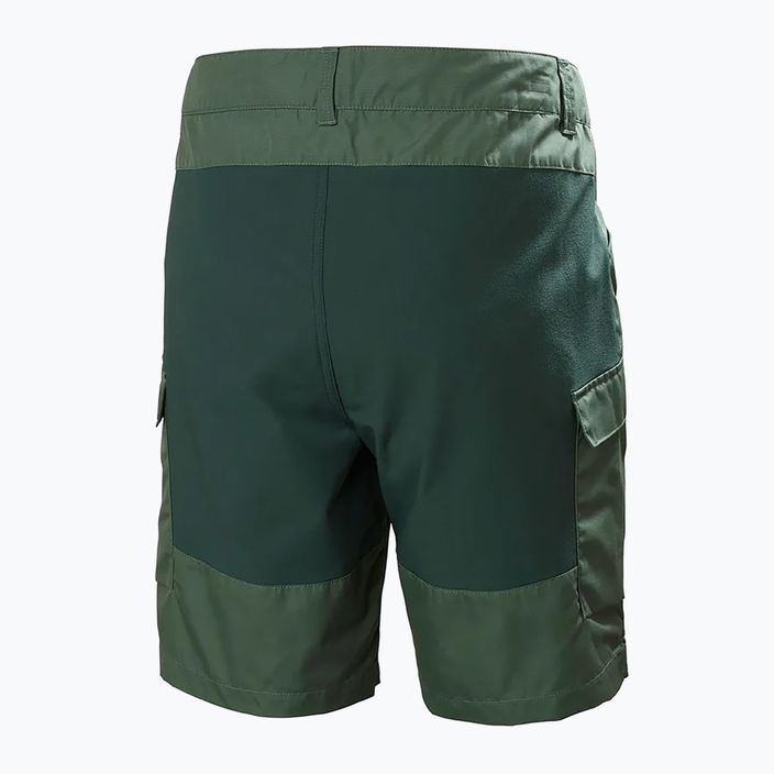 Helly Hansen men's Vandre Cargo green trekking shorts 62699_476 6