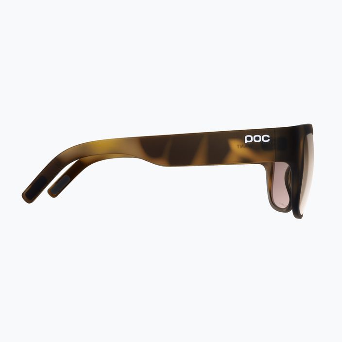 POC Want tortoise brown/clarity trail/partly sunny silver sunglasses 4