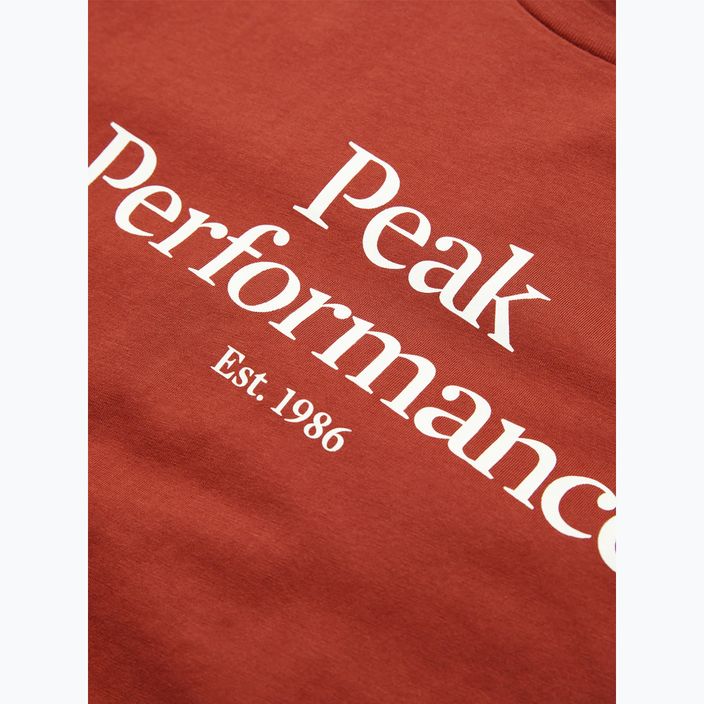 Men's Peak Performance Original Tee spiced t-shirt 6