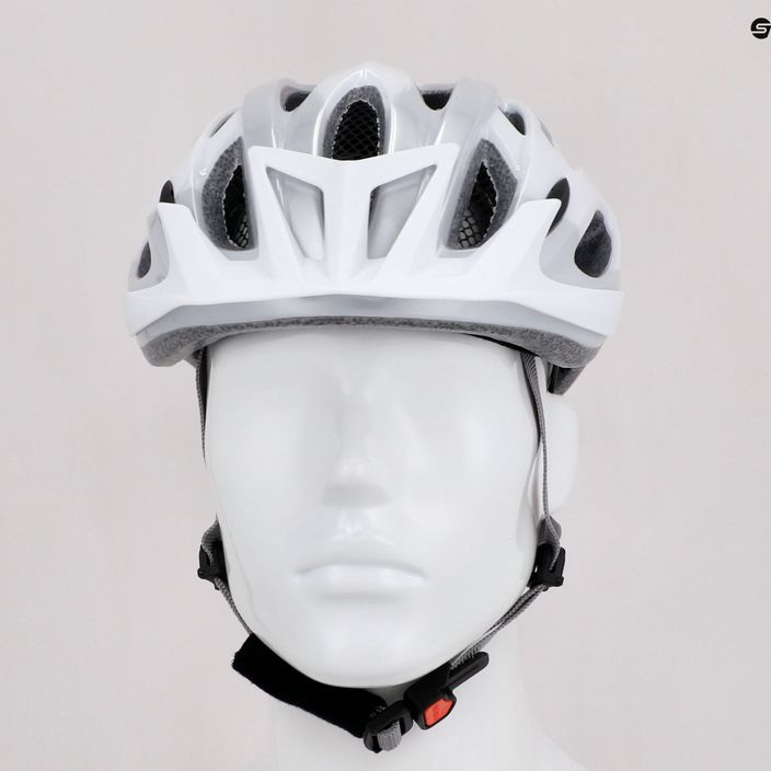 Bicycle helmet Alpina MTB 17 white/silver 9