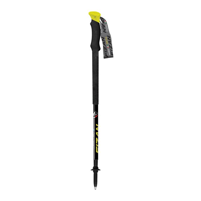 Fizan Compact Pro trekking poles black S20 7109 2
