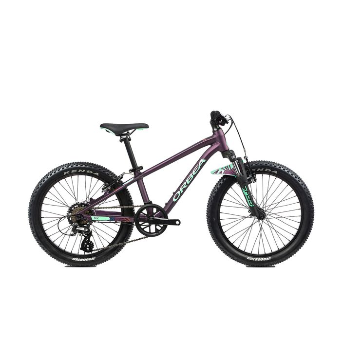 Children's bicycle Orbea MX 20 XC purple L00420I7 2