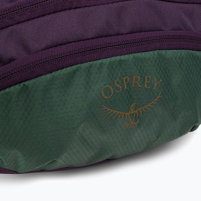 Osprey Daylite Waist 2L purple kidney pouch 10004623 6